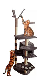 Árbol gimnasio torre para gato