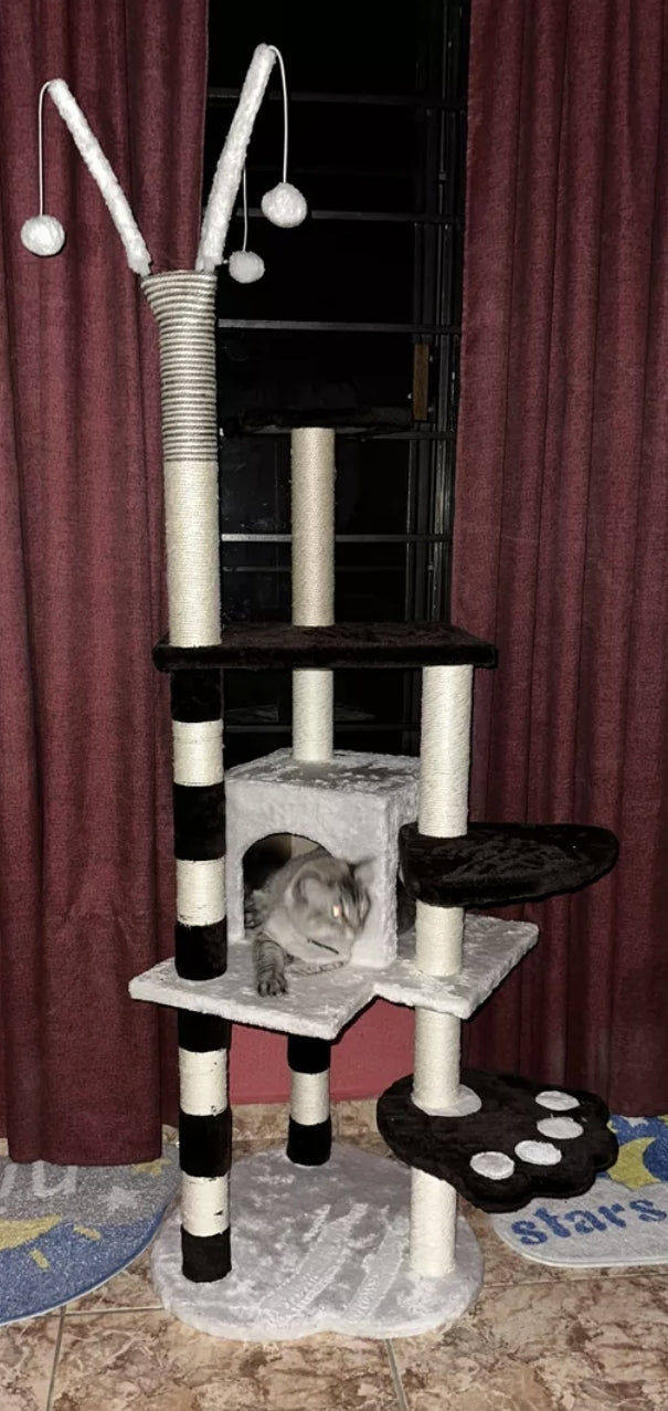 Árbol gimnasio torre para gato