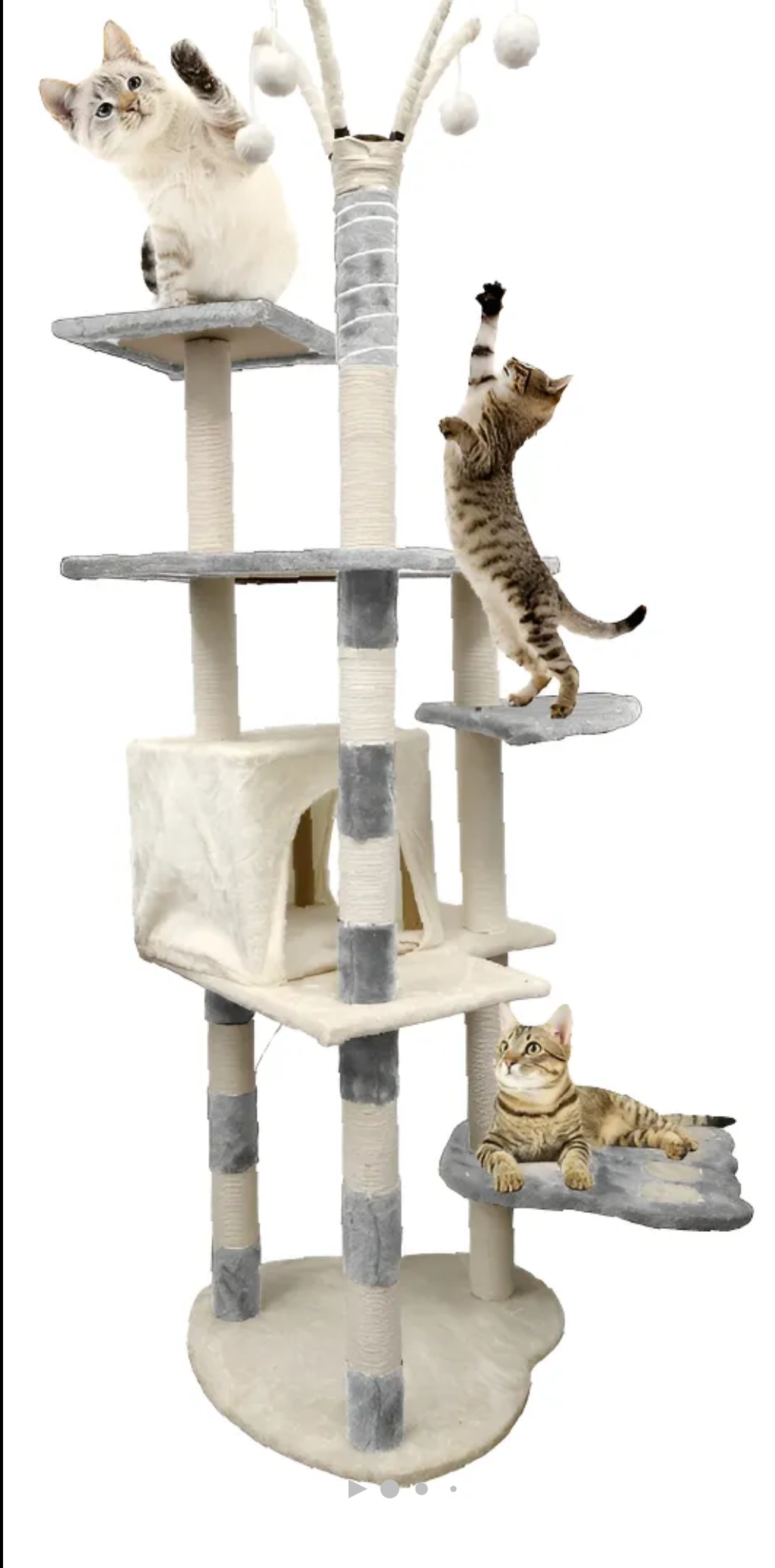 Árbol gimnasio torre para gato